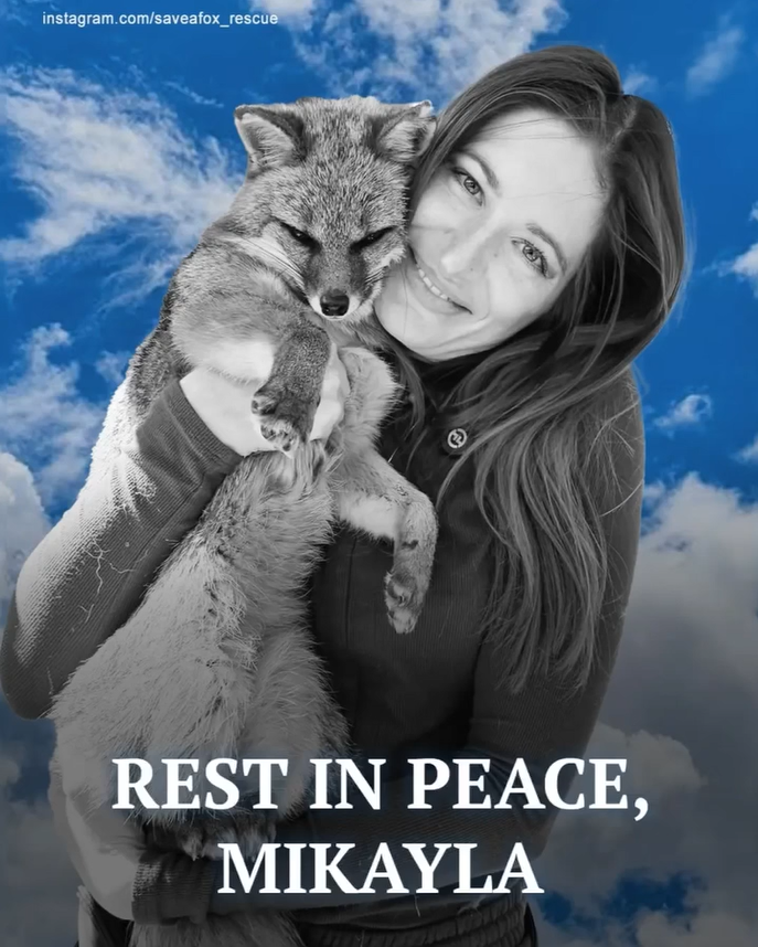 Remembering Mikayla Raines: The Passionate Fox Rescuer Whose Light Went Out Too Soon