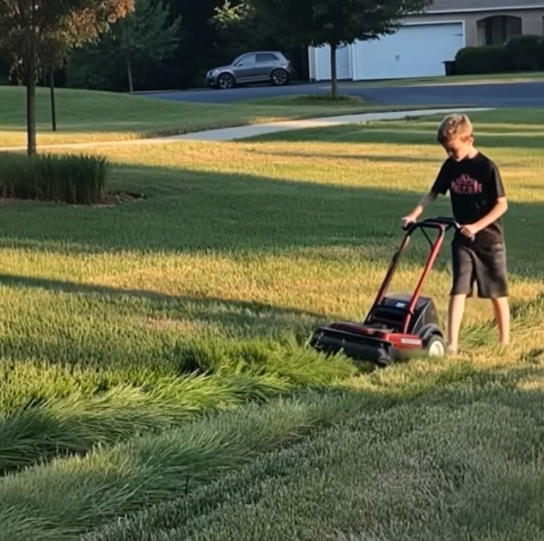 A Son’s Hard Work and a Mother’s Clever Justice