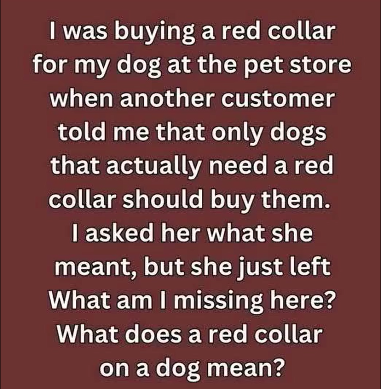 Why a Dog in a Red Collar Means ‘Keep Your Distance’